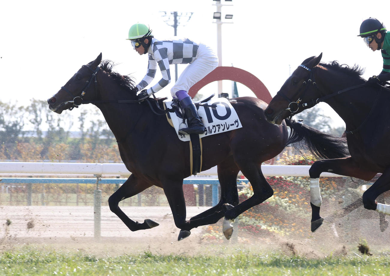 京都5R新馬戦、10着に敗れたラルクアンレーヴ（撮影・白石智彦）
