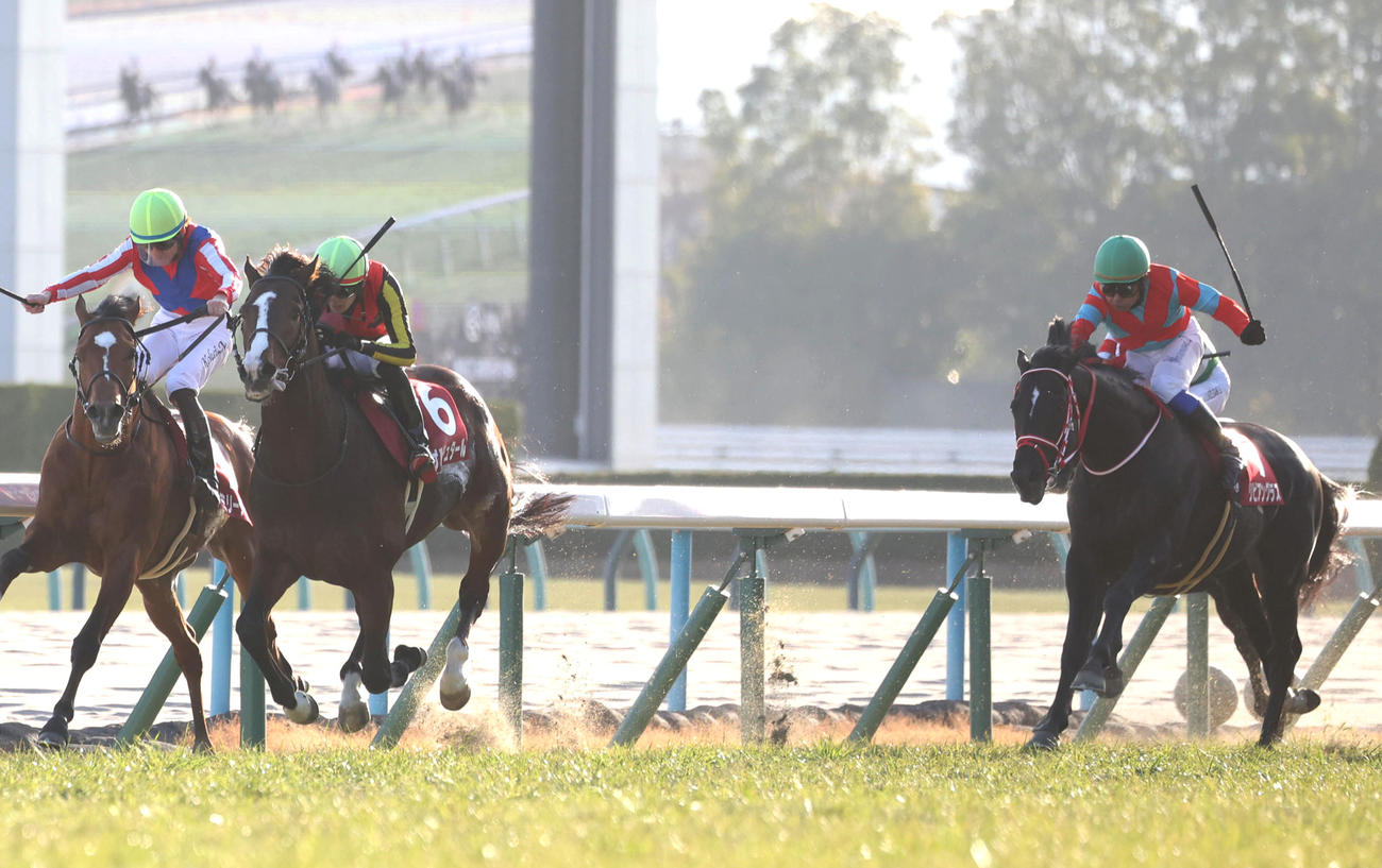 日経新春杯3着に入ったリビアングラス（右）。左から2頭目は勝ったゲルチュタール（撮影・白石智彦）