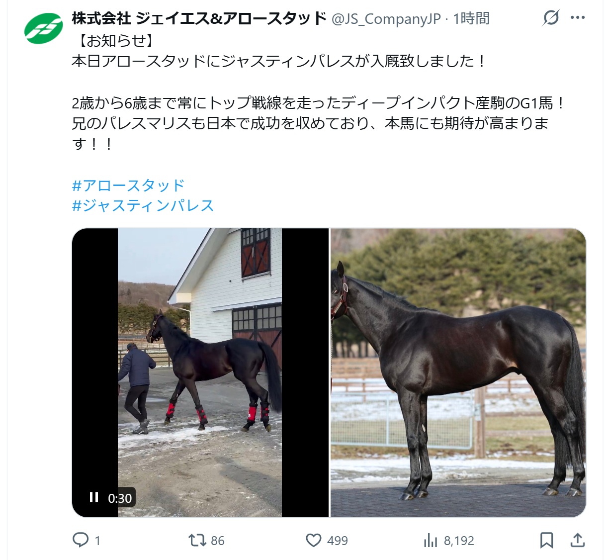 アロースタッドの公式Xから