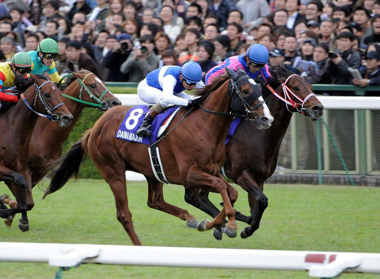 07年マイルCSを制し連覇を達成したダイワメジャー
