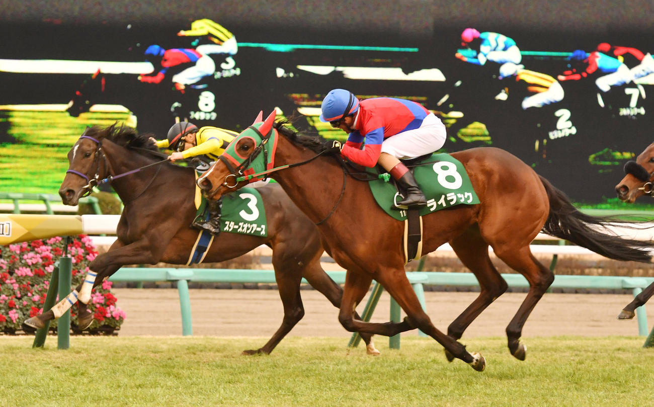 ゴール前で差し切りフェアリーSを制したライラック（右）（2022年1月10日撮影）