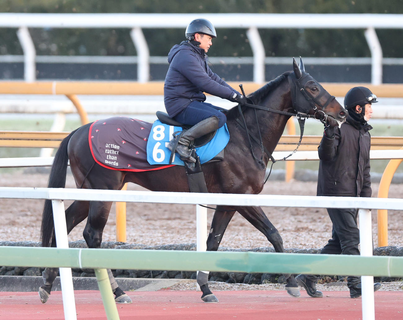 21日、馬場入りするロードクロンヌ