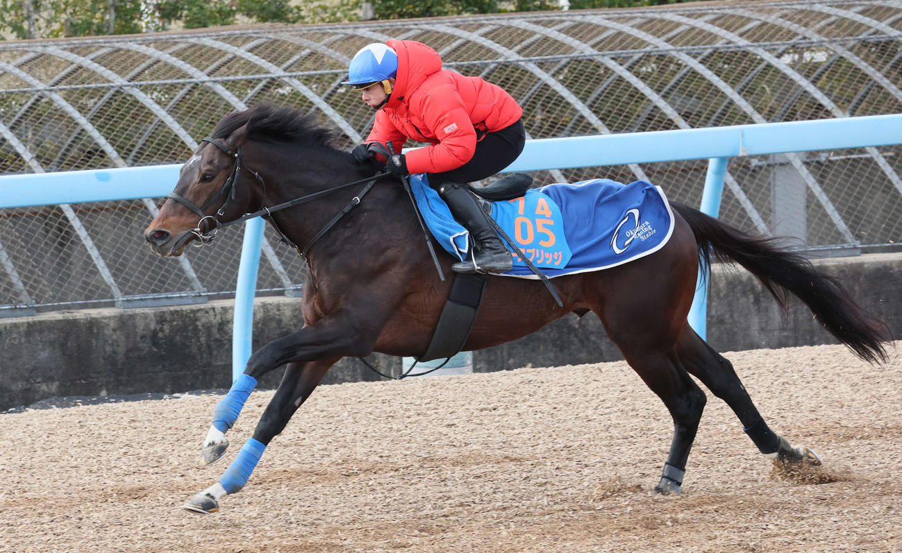 21日、ノースブリッジは岩田康騎手を背に美浦ウッドで追い切られた