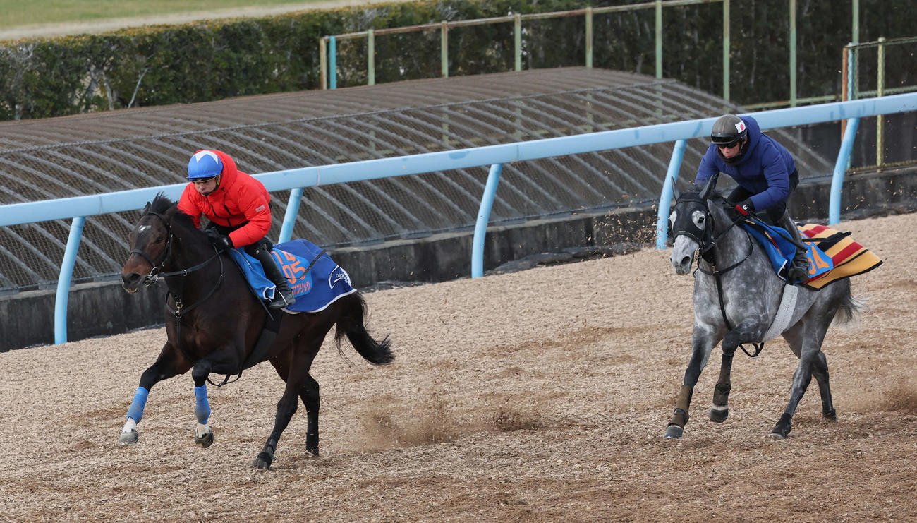 21日、ノースブリッジ（左）は岩田康騎手を背に美浦ウッドでホウオウプレミアと併せて追い切られた