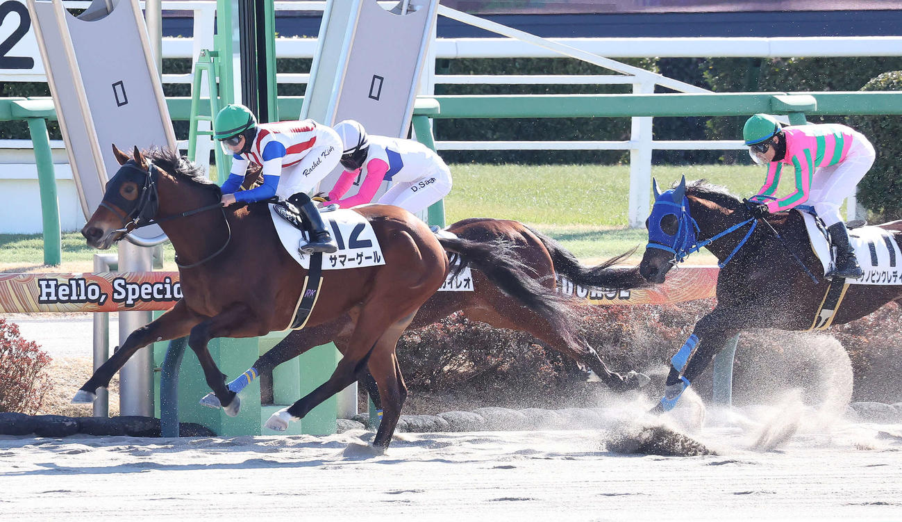 中山3R、3歳新馬戦を制したサマーゲールとキング騎手（左）（撮影・丹羽敏通）