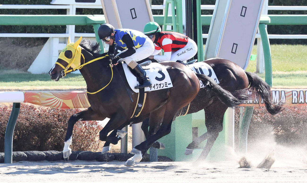 中山4R、3歳未勝利戦を制したテイクオンミーと柴田善騎手（撮影・丹羽敏通）