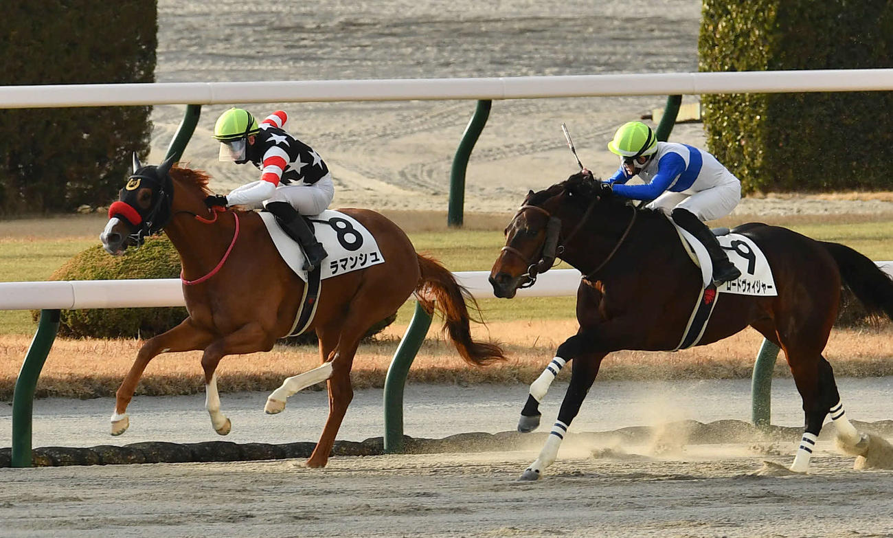 小倉12R2着に入った1番人気のロードヴォイジャー（右）（撮影・岩下翔太）