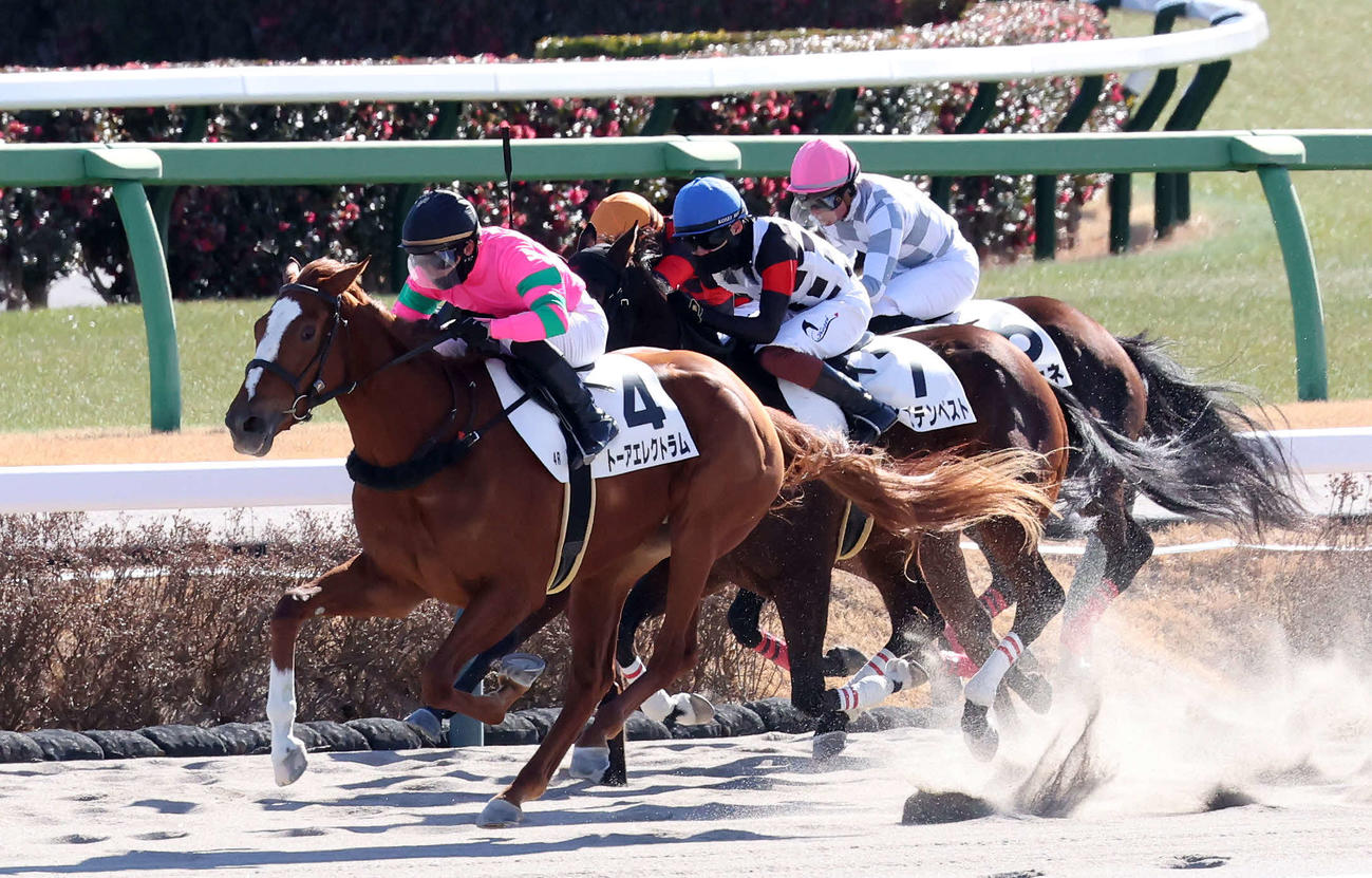 中山4R、3歳新馬戦を制したトーアエレクトラムと菅原明騎手（左）（撮影・丹羽敏通）