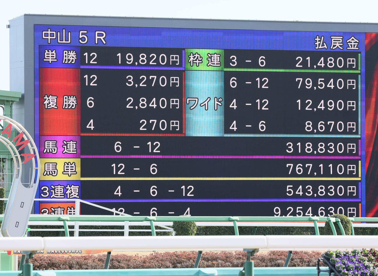 高額配当になった中山5R（撮影・丹羽敏通）