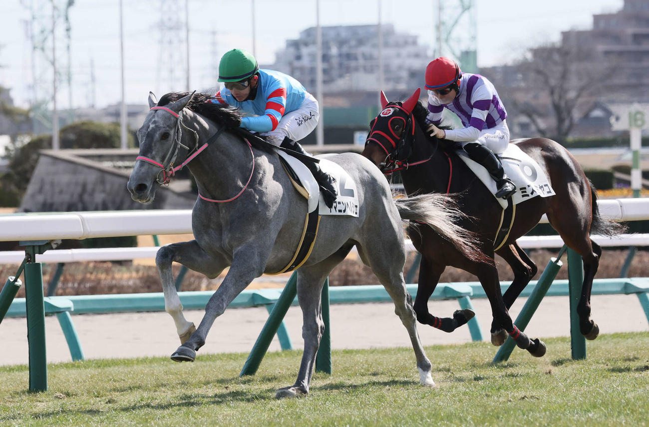 中山5R、3歳新馬戦を制したヤマニンヘルシェと石川騎手（撮影・丹羽敏通）
