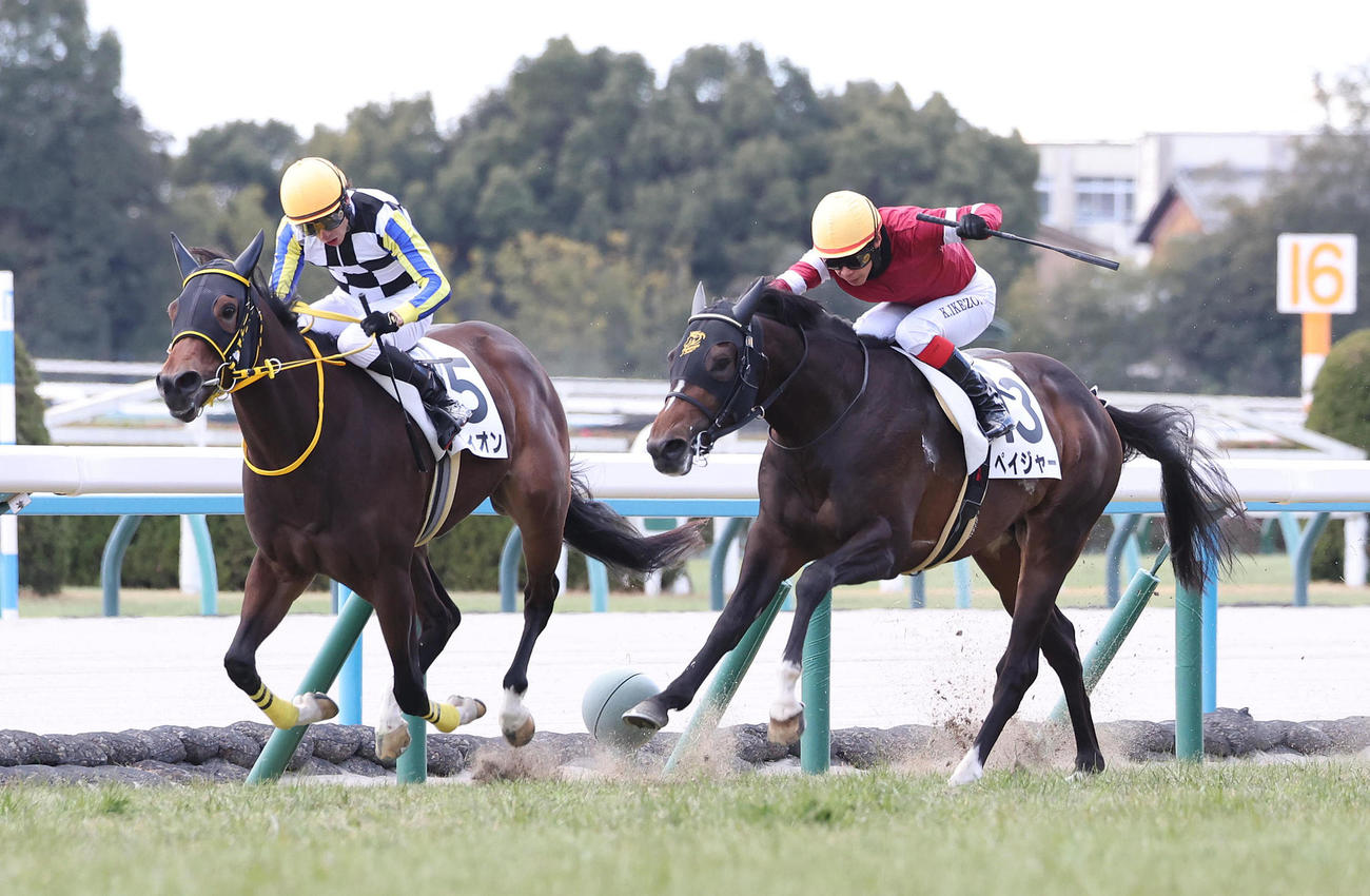 京都5R、アヴィオン（左）を差し切って新馬戦を制したペイジャー（撮影・白石智彦）