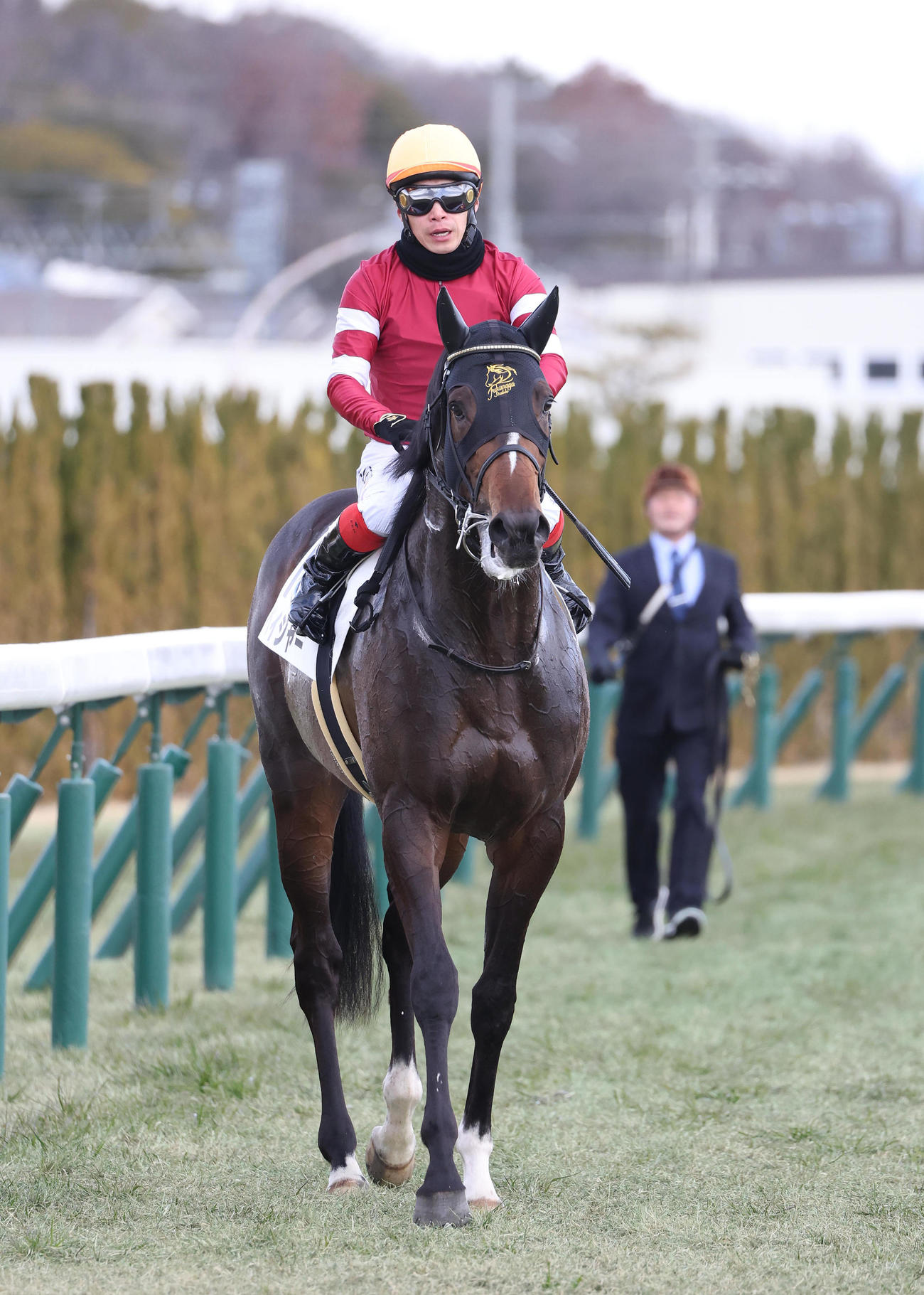 京都5R、新馬戦を制したペイジャー（撮影・白石智彦）