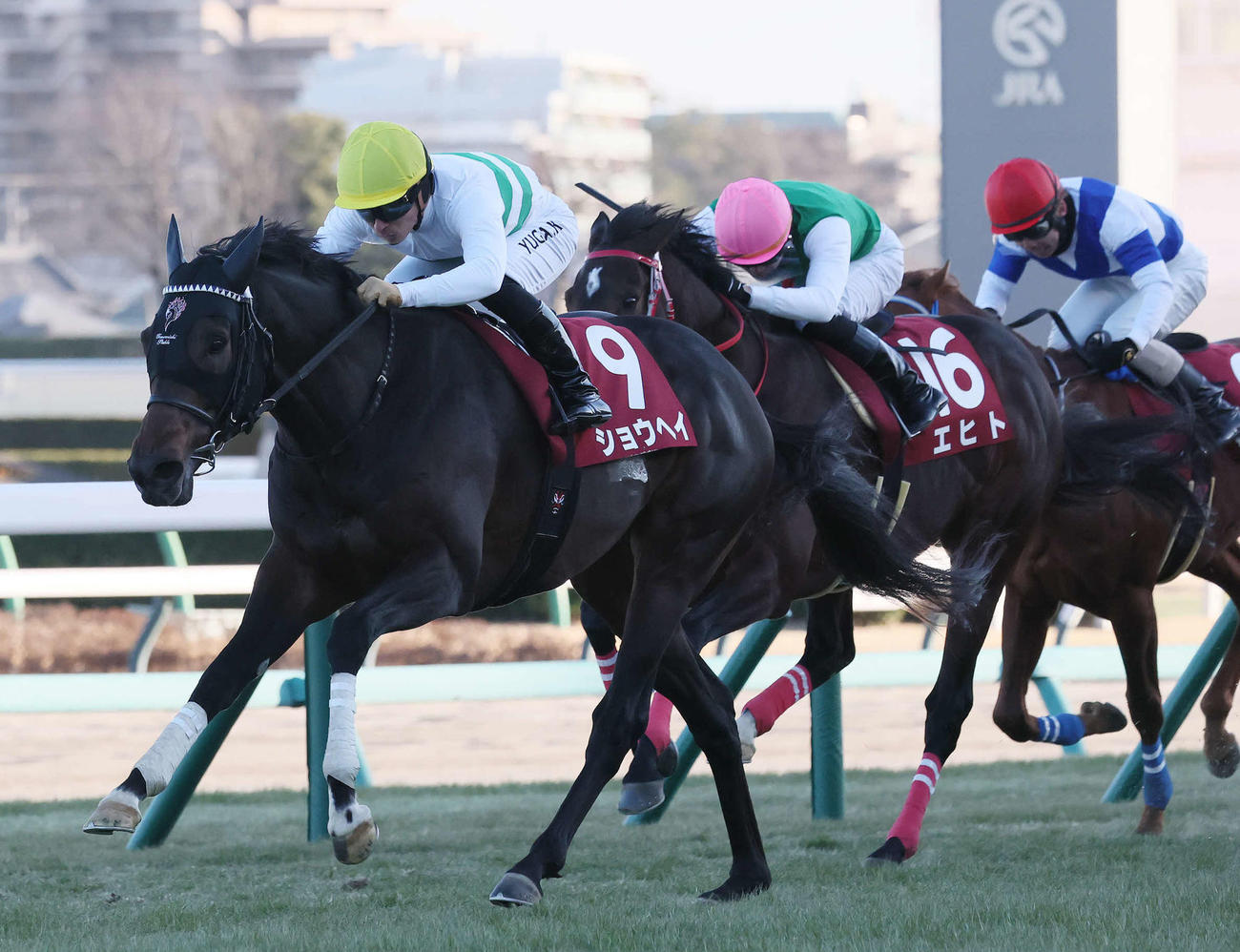 AJCCを制したショウヘイと川田騎手（左）（撮影・丹羽敏通）