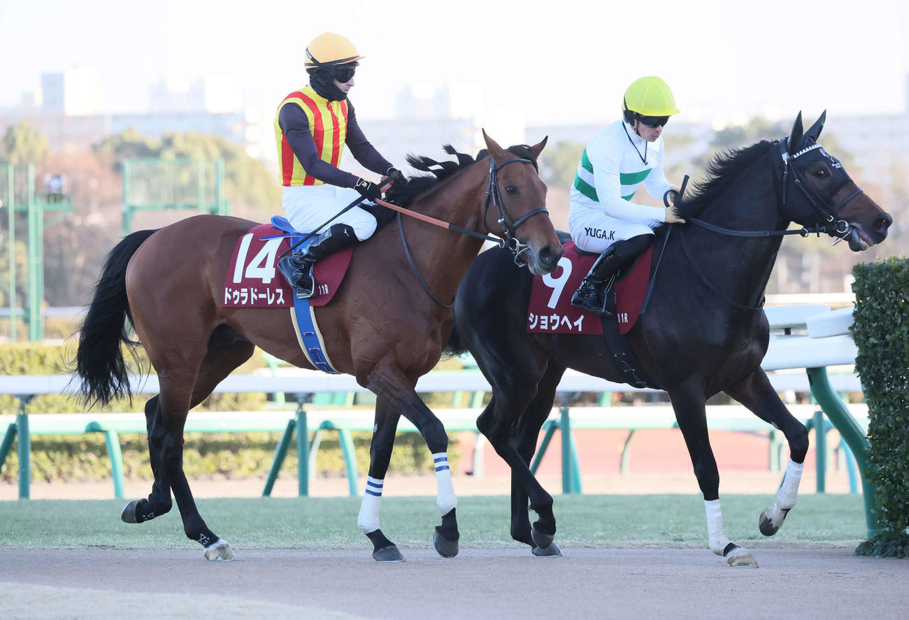 AJCCで1番人気も2着に敗れたドゥラドーレスとルメール騎手（左）。右は勝ったショウヘイ