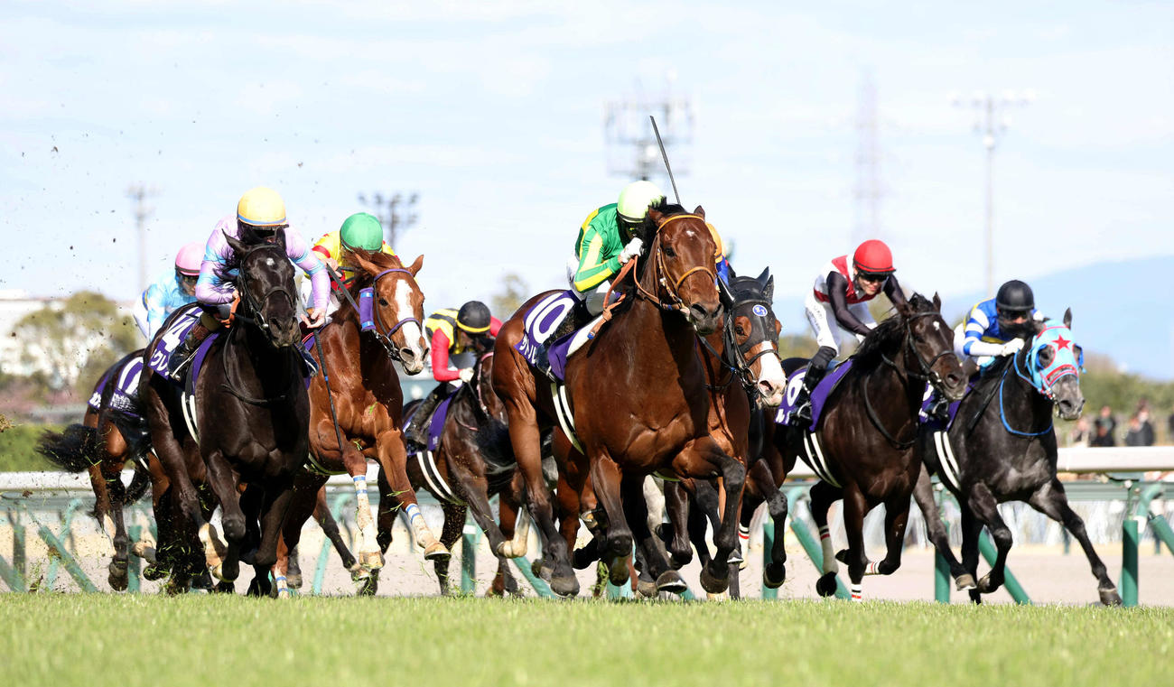 モレイラ騎手に導かれ高松宮記念を制したサトノレーヴ（左から3頭目）（2025年3月撮影）