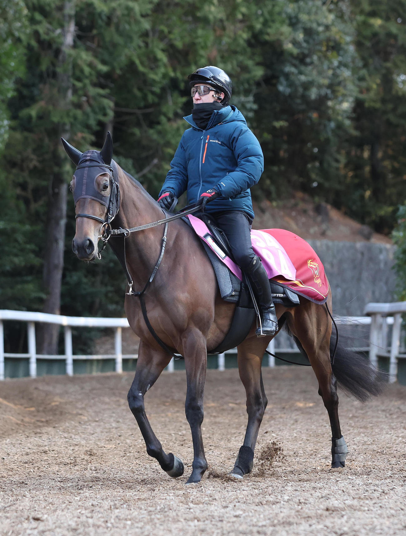 逍遙馬道で運動するミッキーマーメイド（撮影・白石智彦）