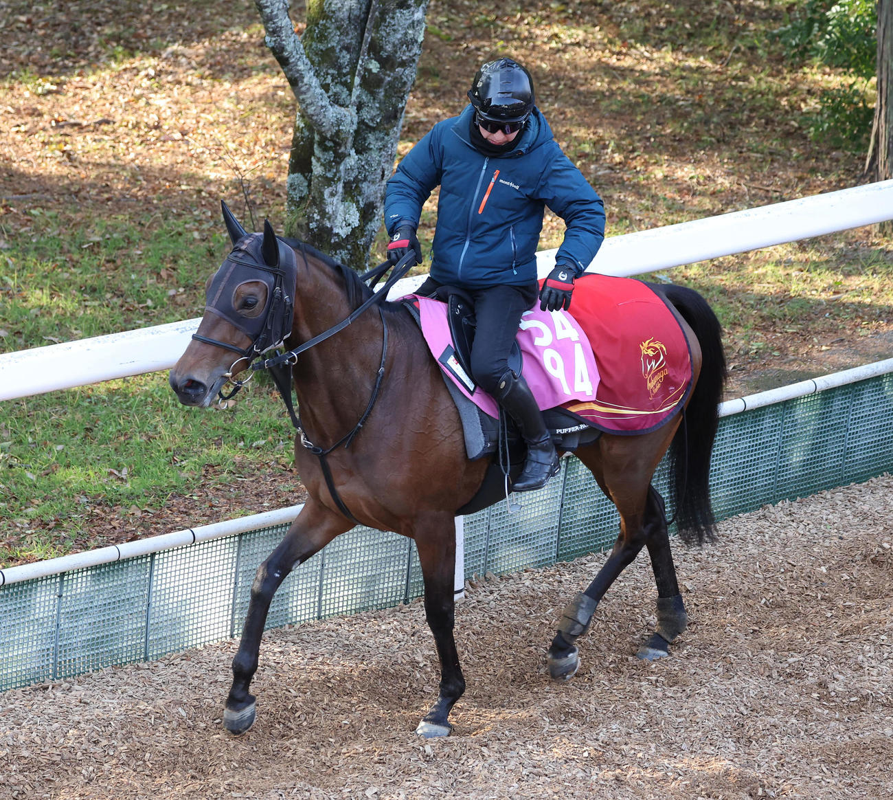 逍遙馬道で運動するミッキーマーメイド（撮影・白石智彦）