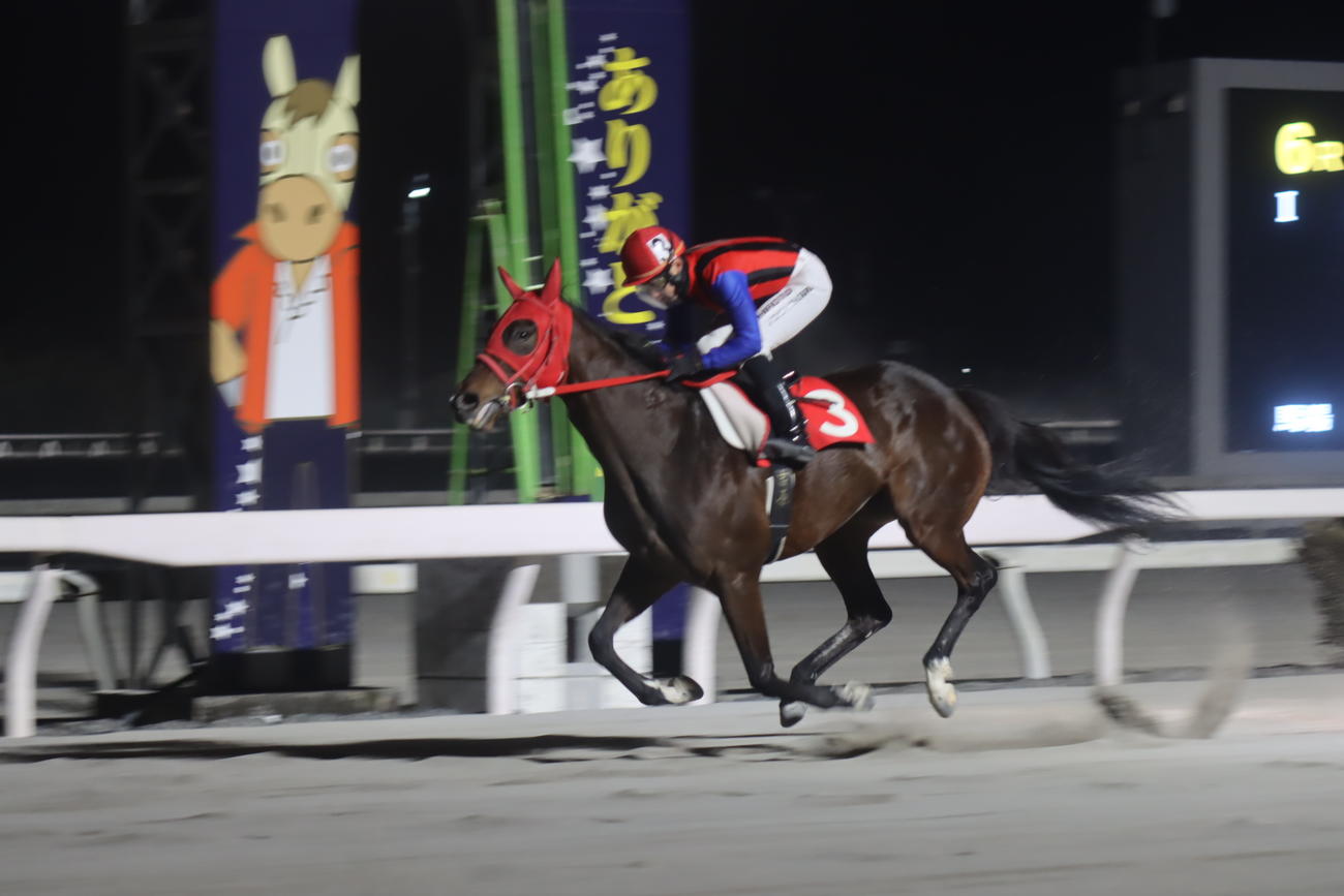 高知競馬6Rをシンデレラスマイルで勝利し地方競馬通算3300勝を達成した吉原寛人騎手（金沢競馬提供）