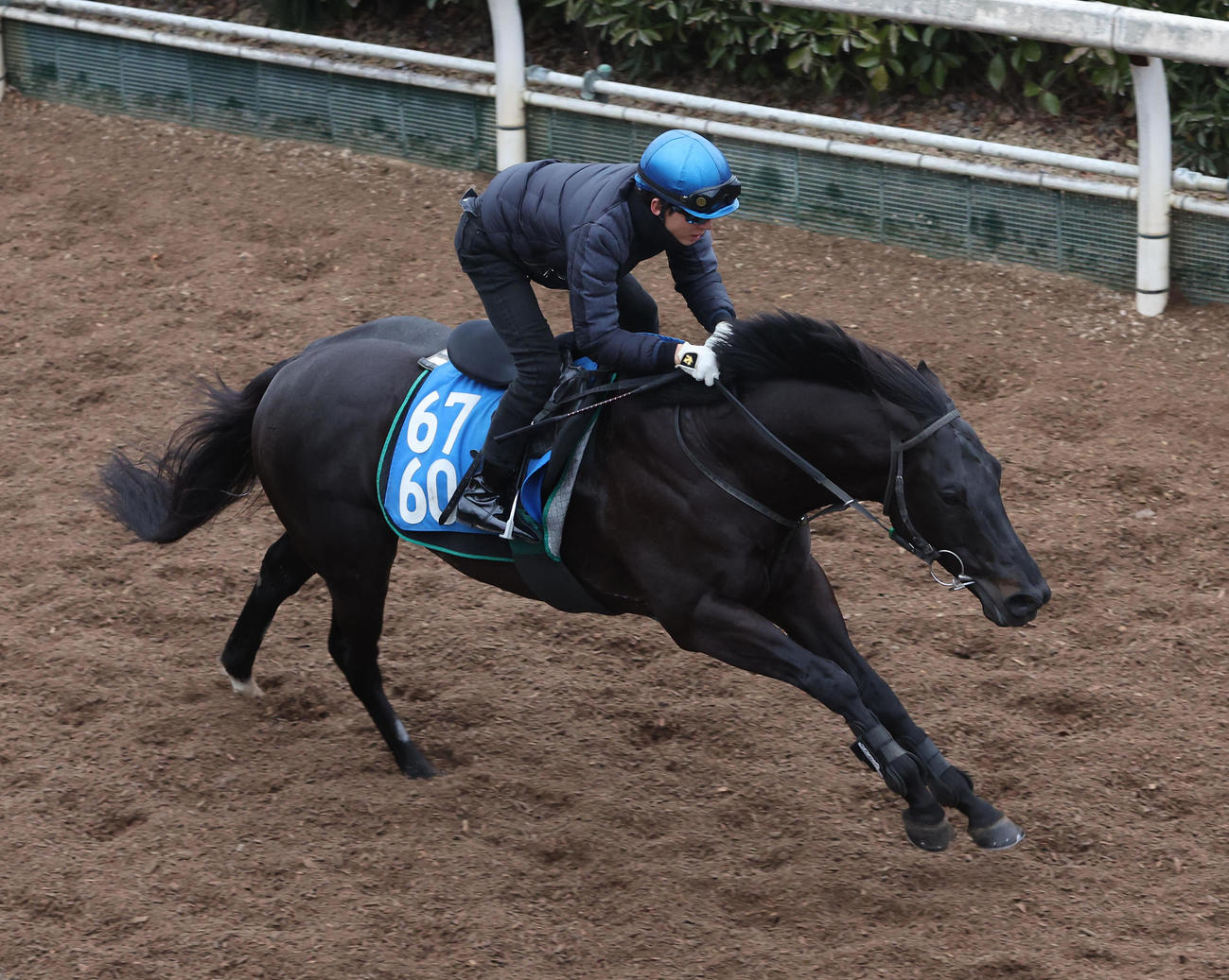 幸騎手を背に坂路を単走で追い切るオタルエバー（撮影・白石智彦）