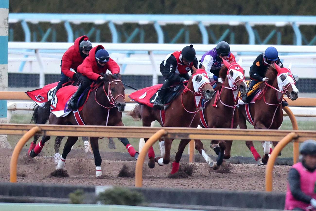 実戦並みの併せ馬で、破格の時計をマークしたフォーエバーヤング（左から2頭目）