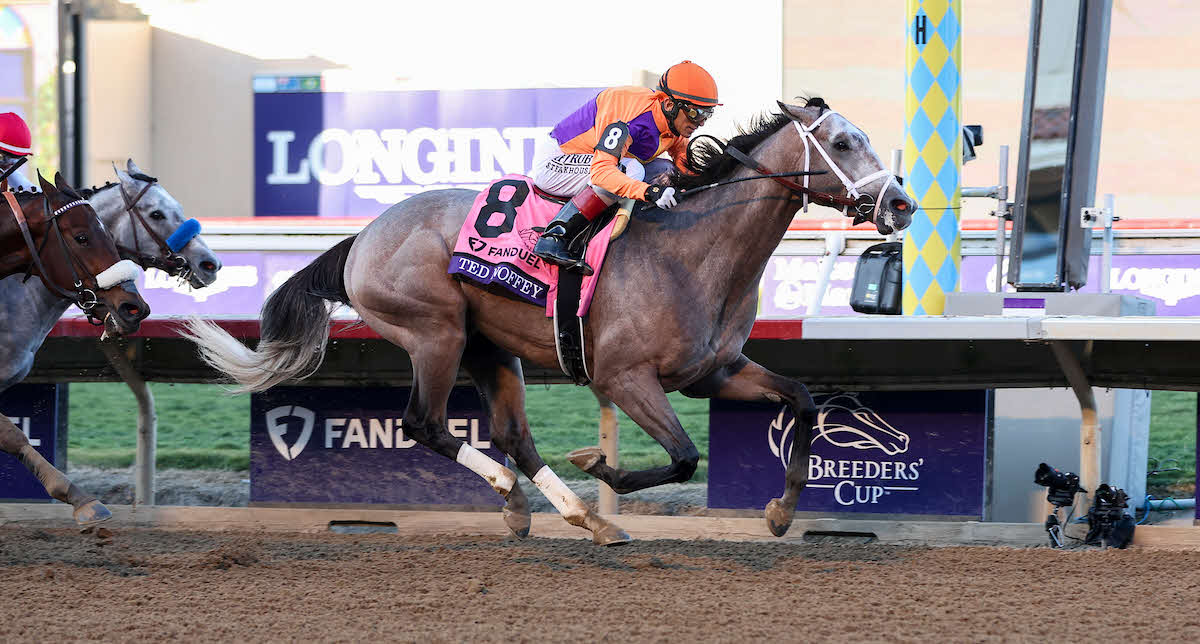 BCジュベナイルを制したテッドノフィー（C）Tim Sudduth／Eclipse Sportswire／Breeders Cup