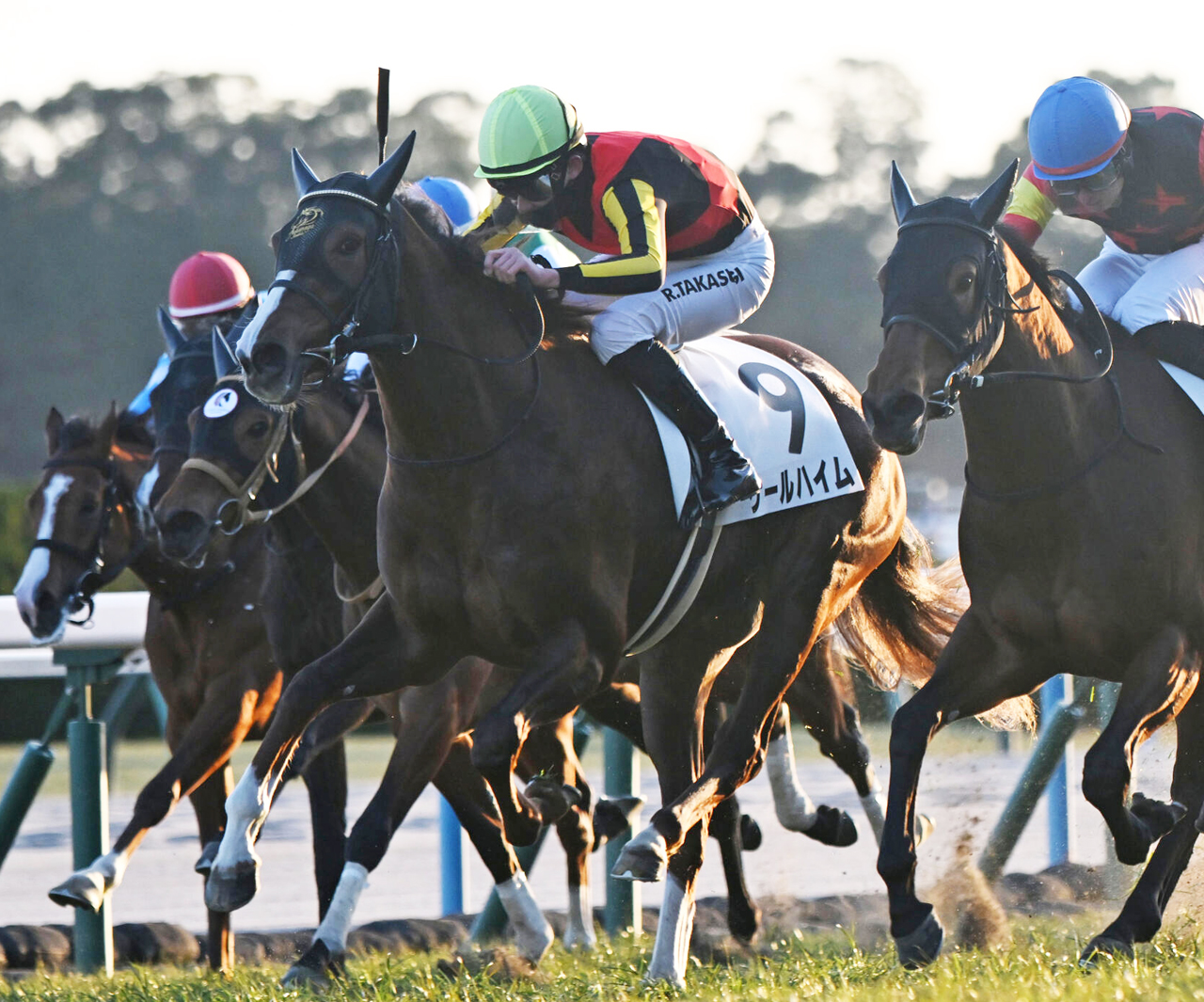 12日京都12Rの3歳未勝利戦を制したケールハイム