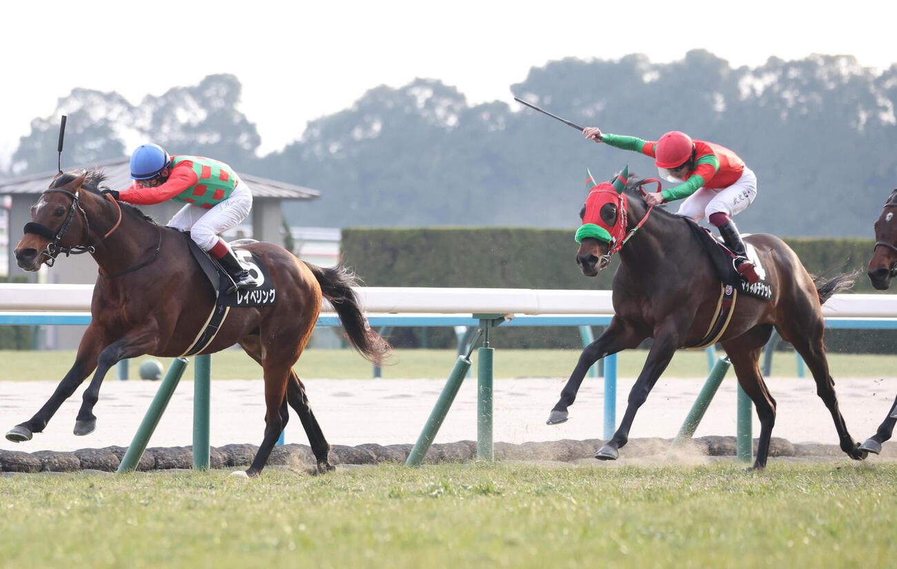 睦月S2着に敗れたマイネルチケット（右）。左は勝ったレイベリング