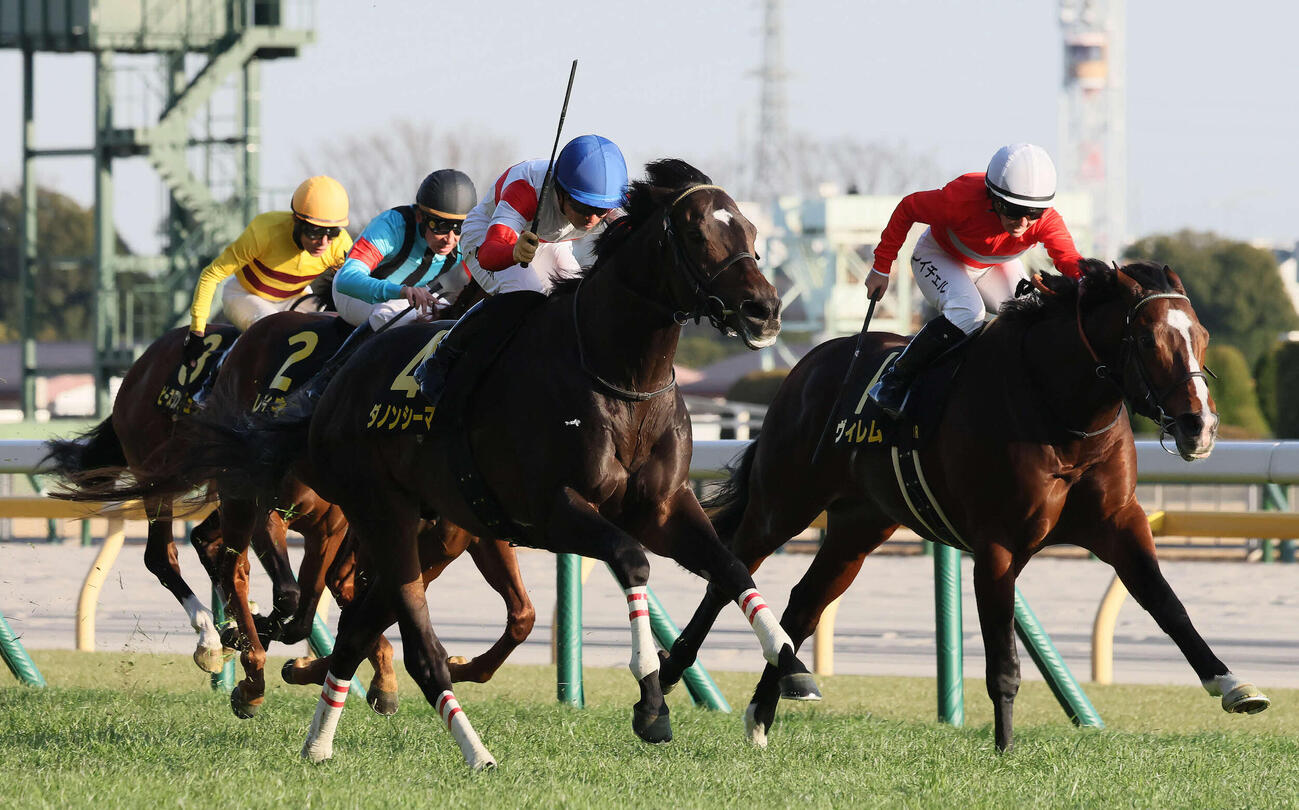 白富士Sを制したダノンシーマと川田騎手（左）。右は2着ヴィレム（撮影・丹羽敏通）