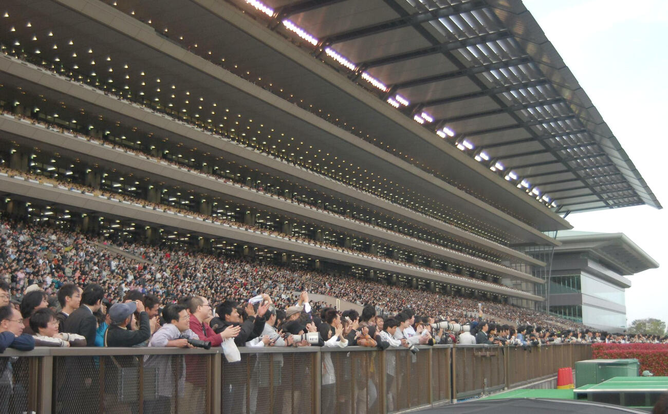 東京競馬場