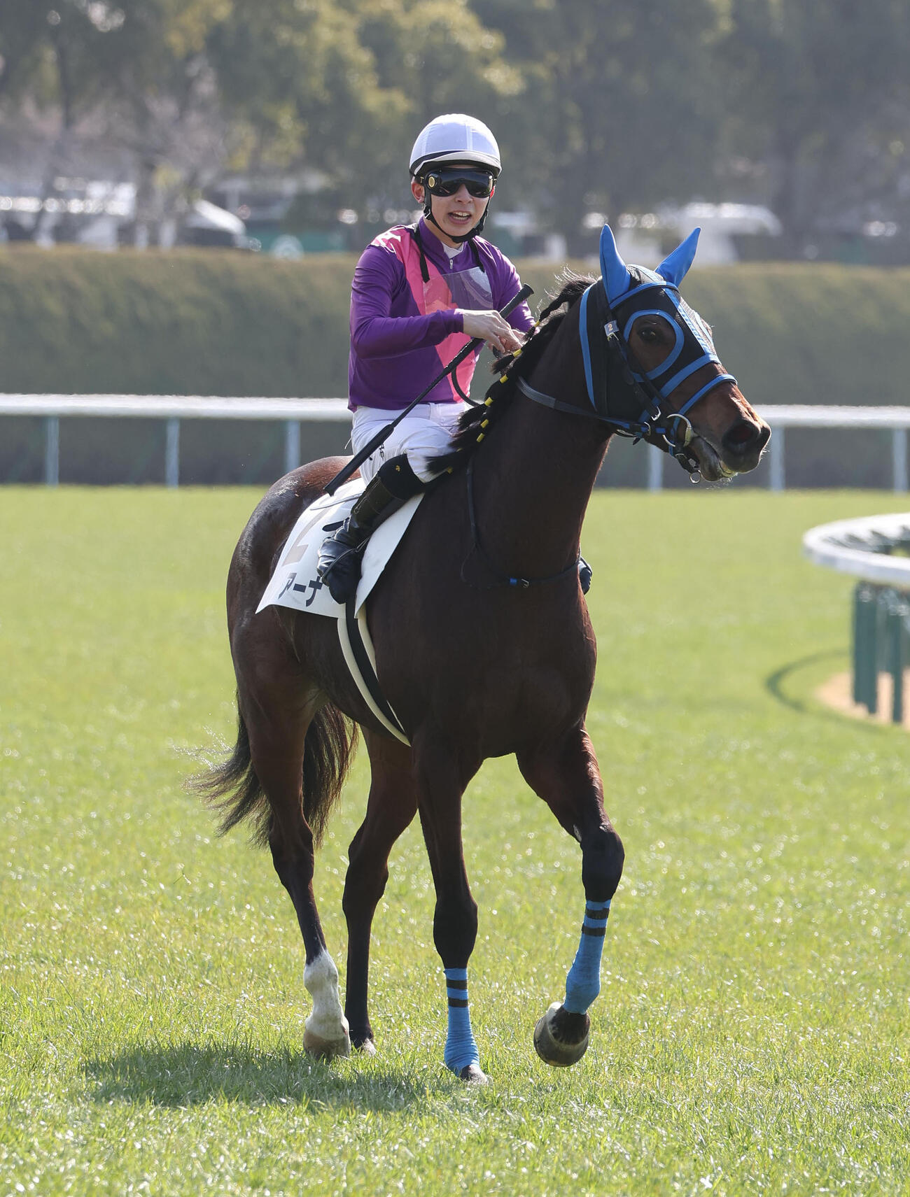 小倉6R、3歳未勝利を勝ち上がったカシノリアーナ（撮影・白石智彦）