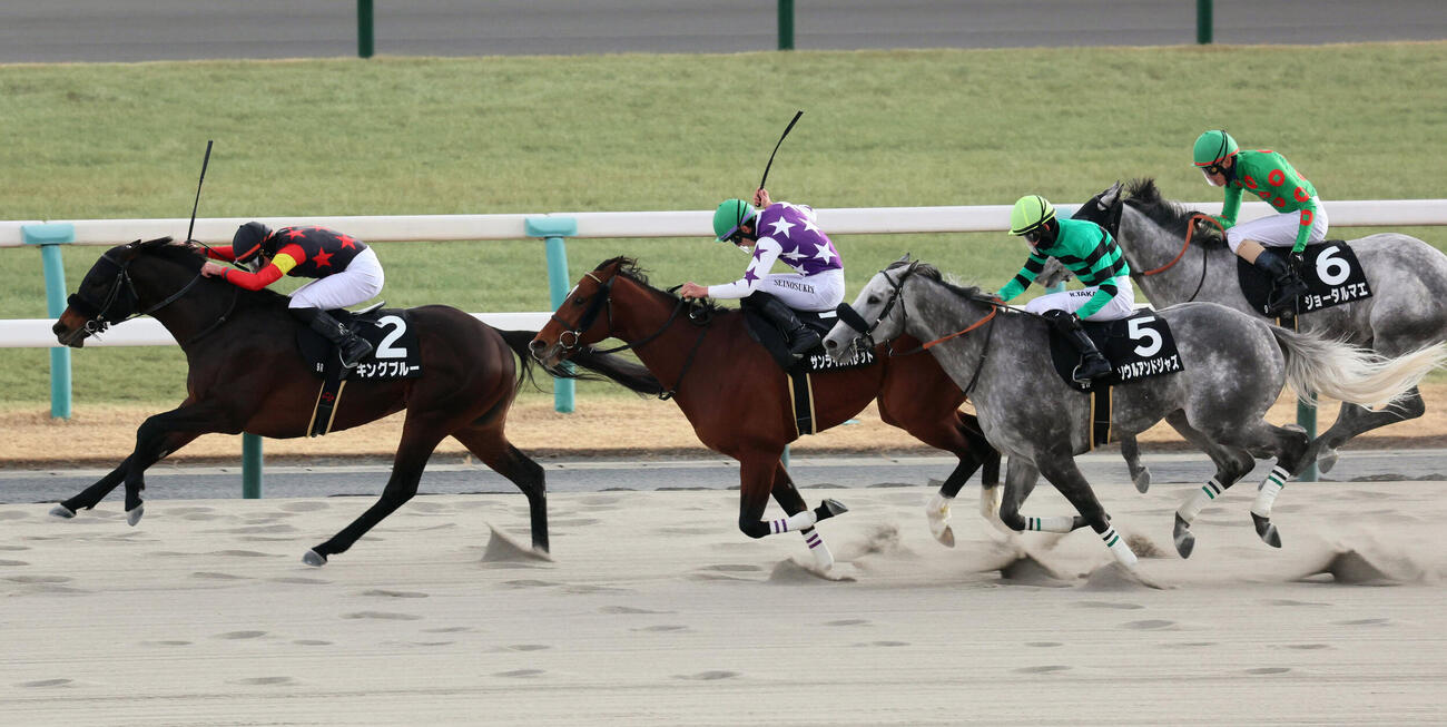 衣笠特別を制したキングブルーと岩田望騎手（左）（撮影・宮崎幸一）