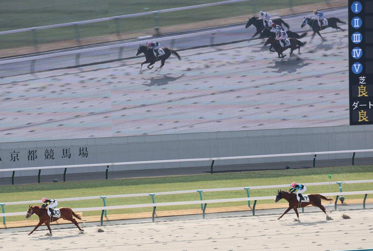 京都3R、3歳未勝利戦を制したアスクチャンスマンと岩田望騎手（左）（撮影・宮崎幸一）