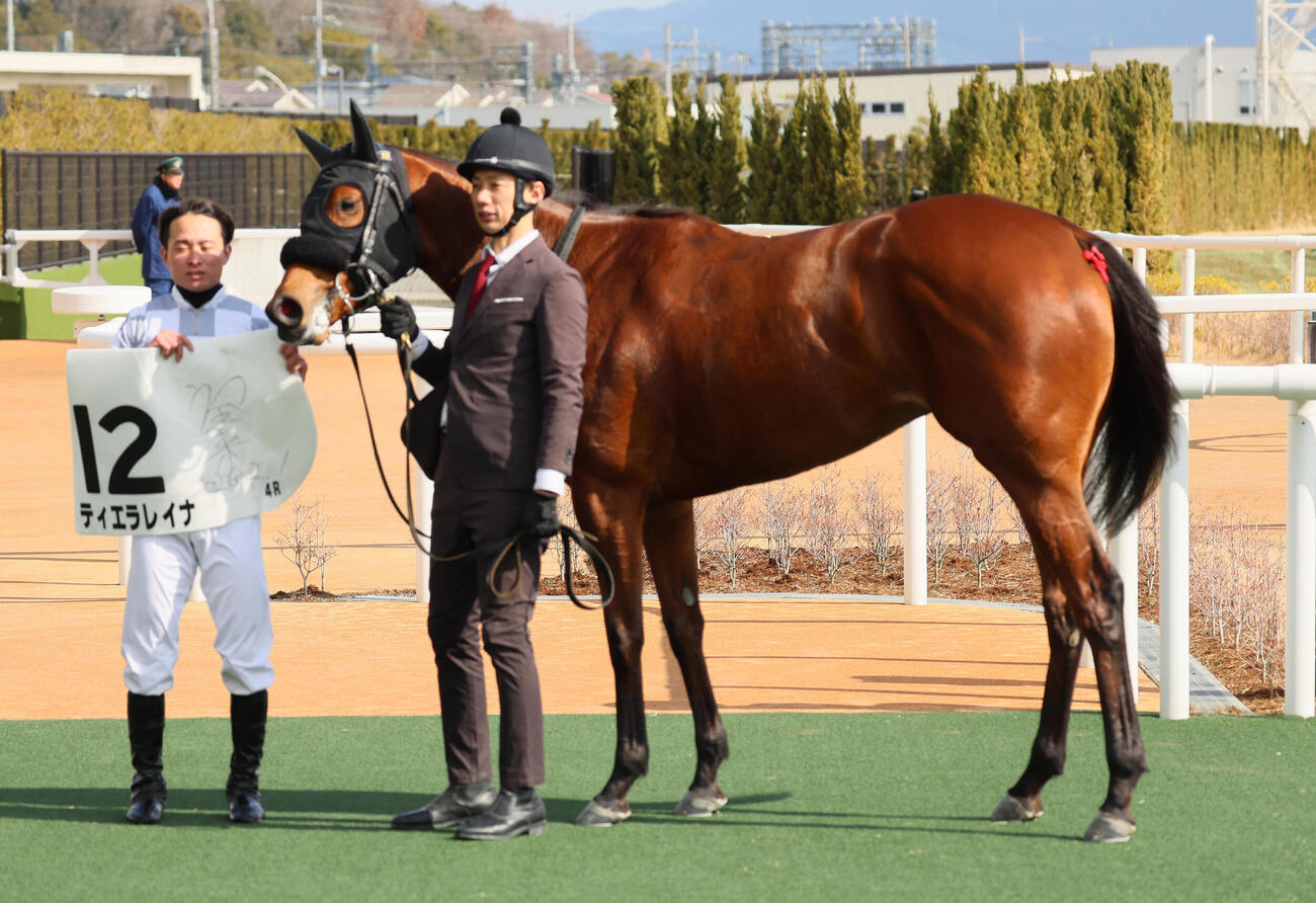 京都4R、新馬戦を制したティエラレイナと岩田望騎手（撮影・宮崎幸一）