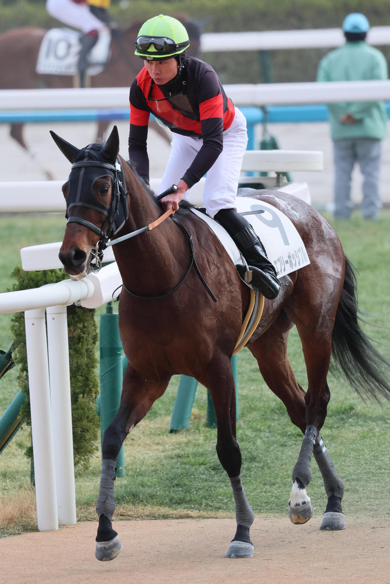 京都6R、3歳1勝クラス戦を制したエブリーポッシブルと岩田望騎手（撮影・宮崎幸一）