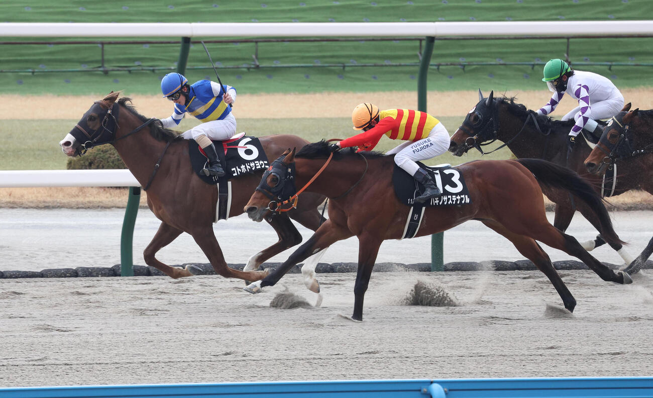門司Sを制した5番人気のコトホドサヨウニ（撮影・白石智彦）
