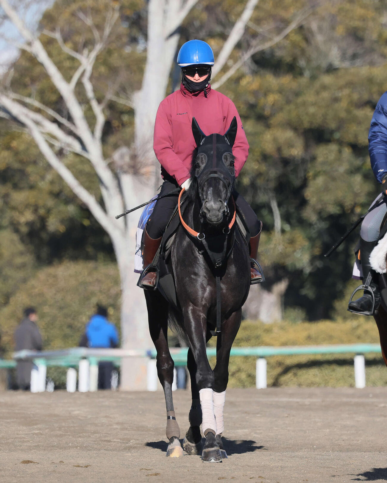 馬場へ向かうゾロアストロ（2026年1月29日撮影）