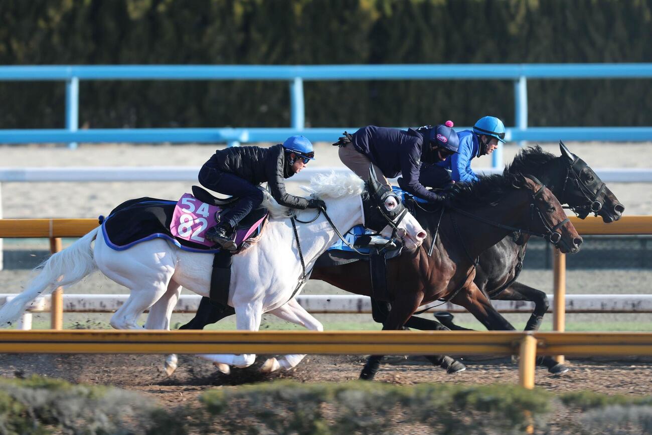 4日、武豊騎手が騎乗し、マジックッサンズ（右）らと互角の動きを見せたマルガ（左）