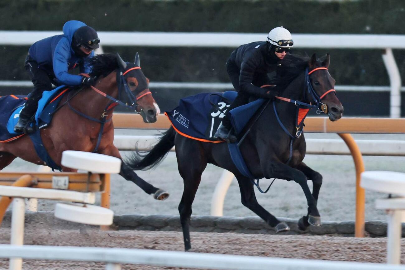4日、CWコース、馬ナリで古馬に先着するコレオシークエンス（右）