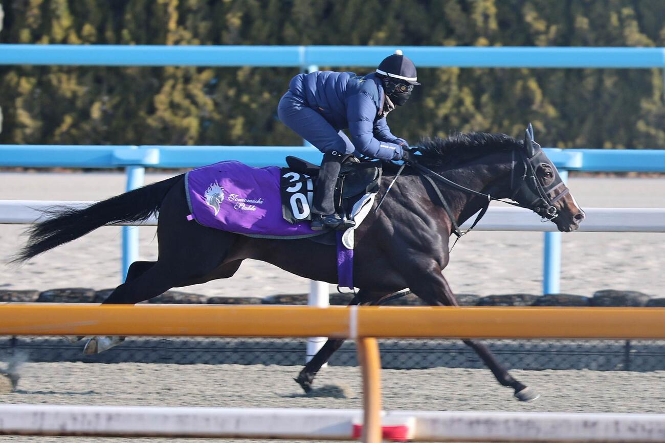 4日、DPコースで馬ナリのまま加速するエムズビギン