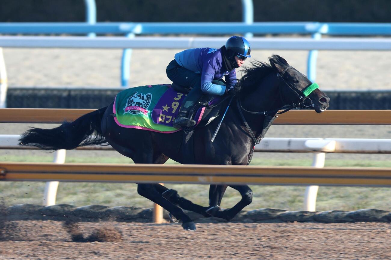 4日、松山弘平騎手が騎乗し、併せ馬に先着するロブチェン