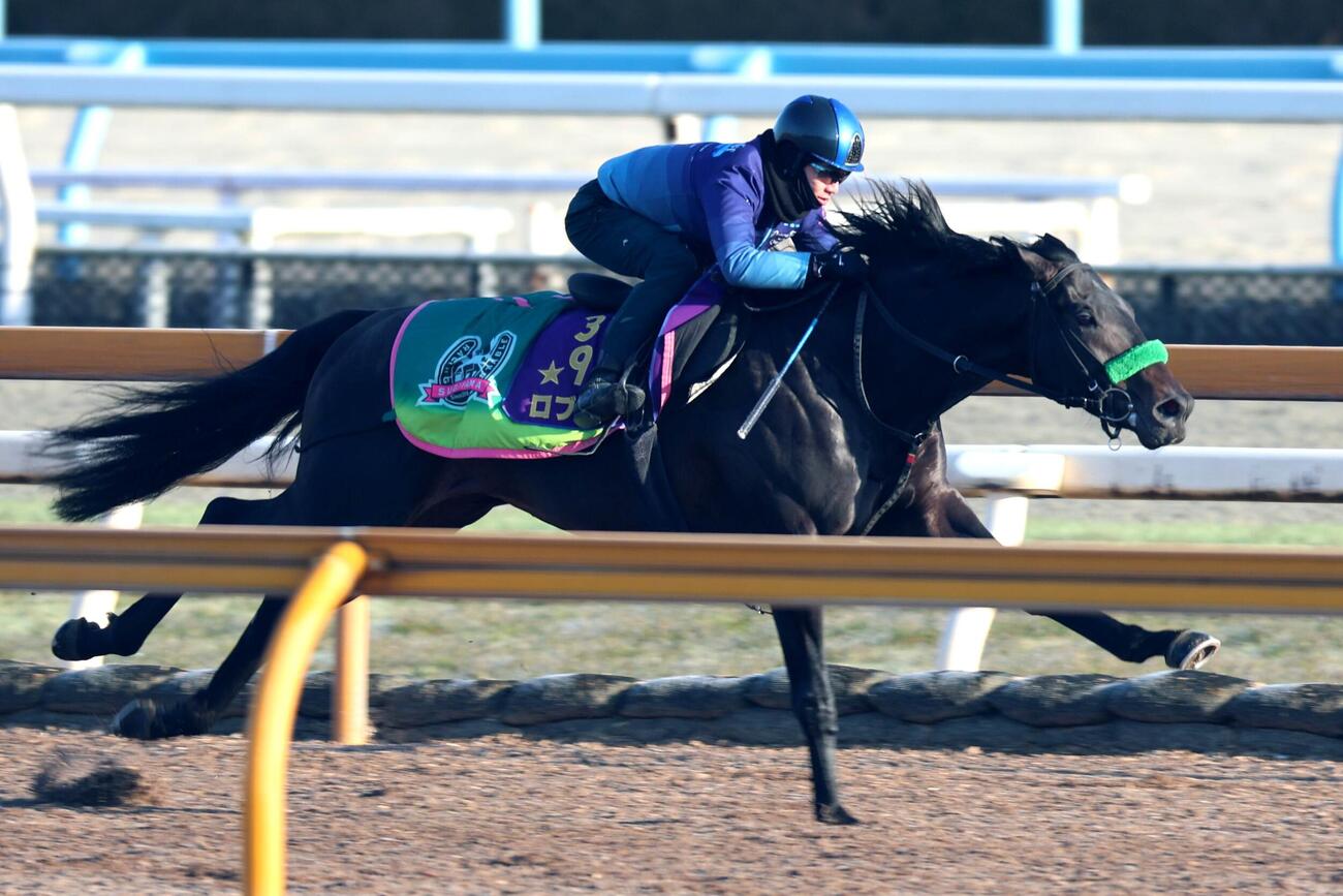 4日、松山弘平騎手が騎乗し、併せ馬に先着するロブチェン