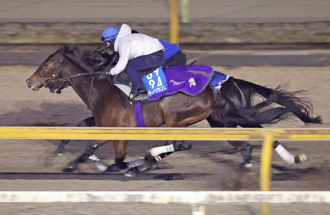 Cウッドコースにて併せ馬で追い切るサトノグランツ（手前）。奧はディープモンスター