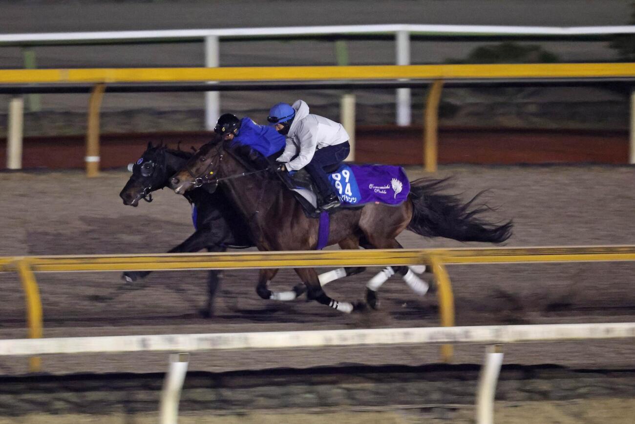 Cウッドコース併せ馬でラスト10・7秒を叩き出したディープモンスター（左）とサトノグランツ
