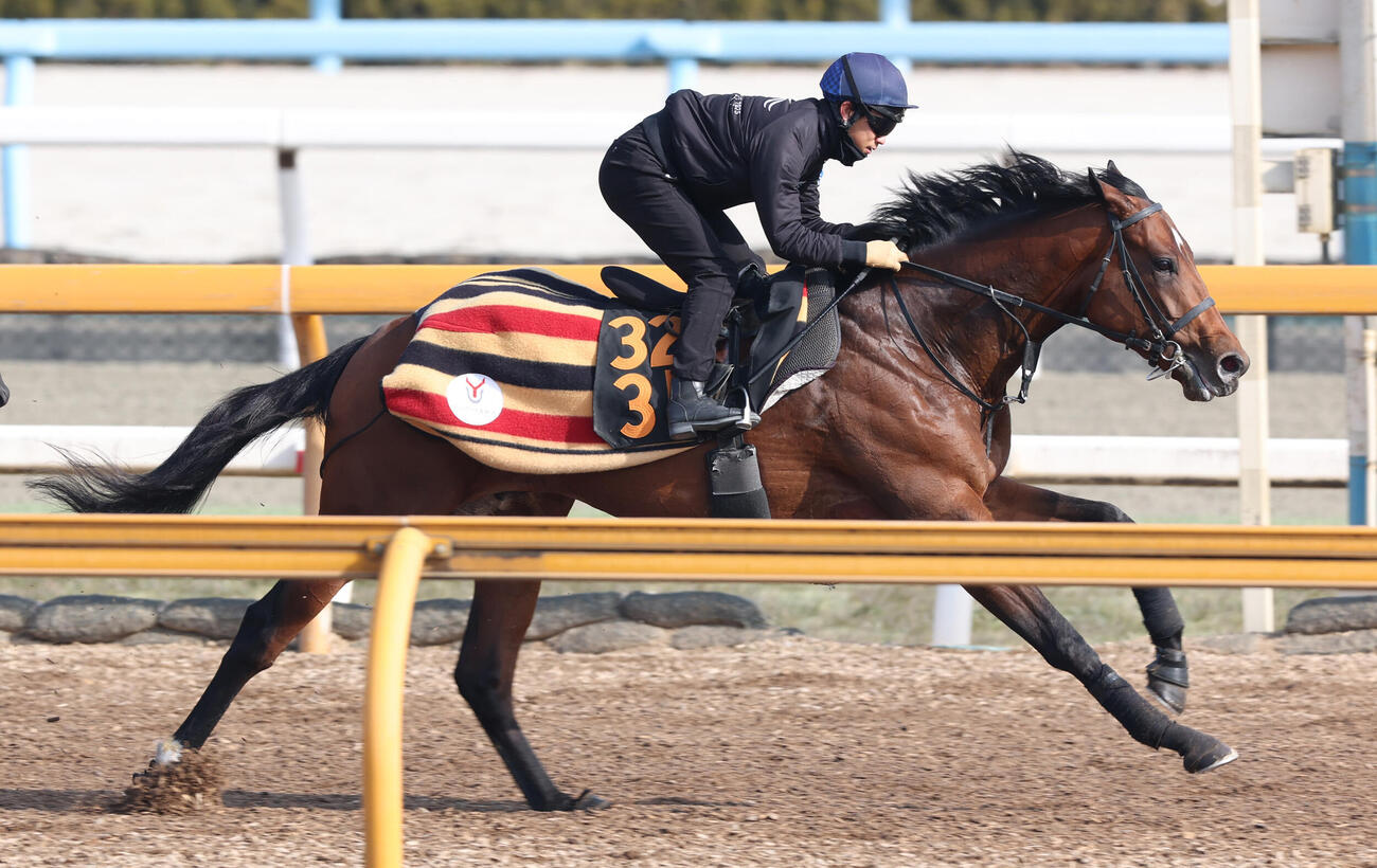 5日、荻野極騎手を背にCウッドコースにて併せ馬で追い切るゴーイントゥスカイ