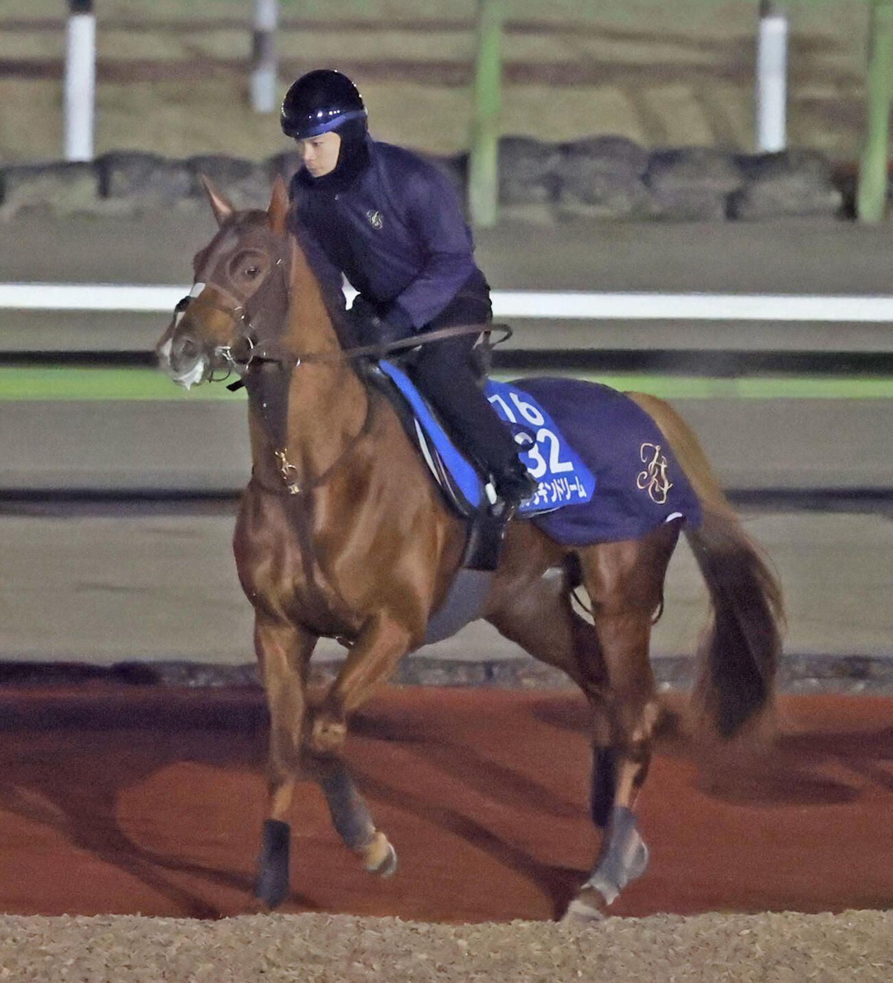 5日、馬場入りするビザンチンドリーム