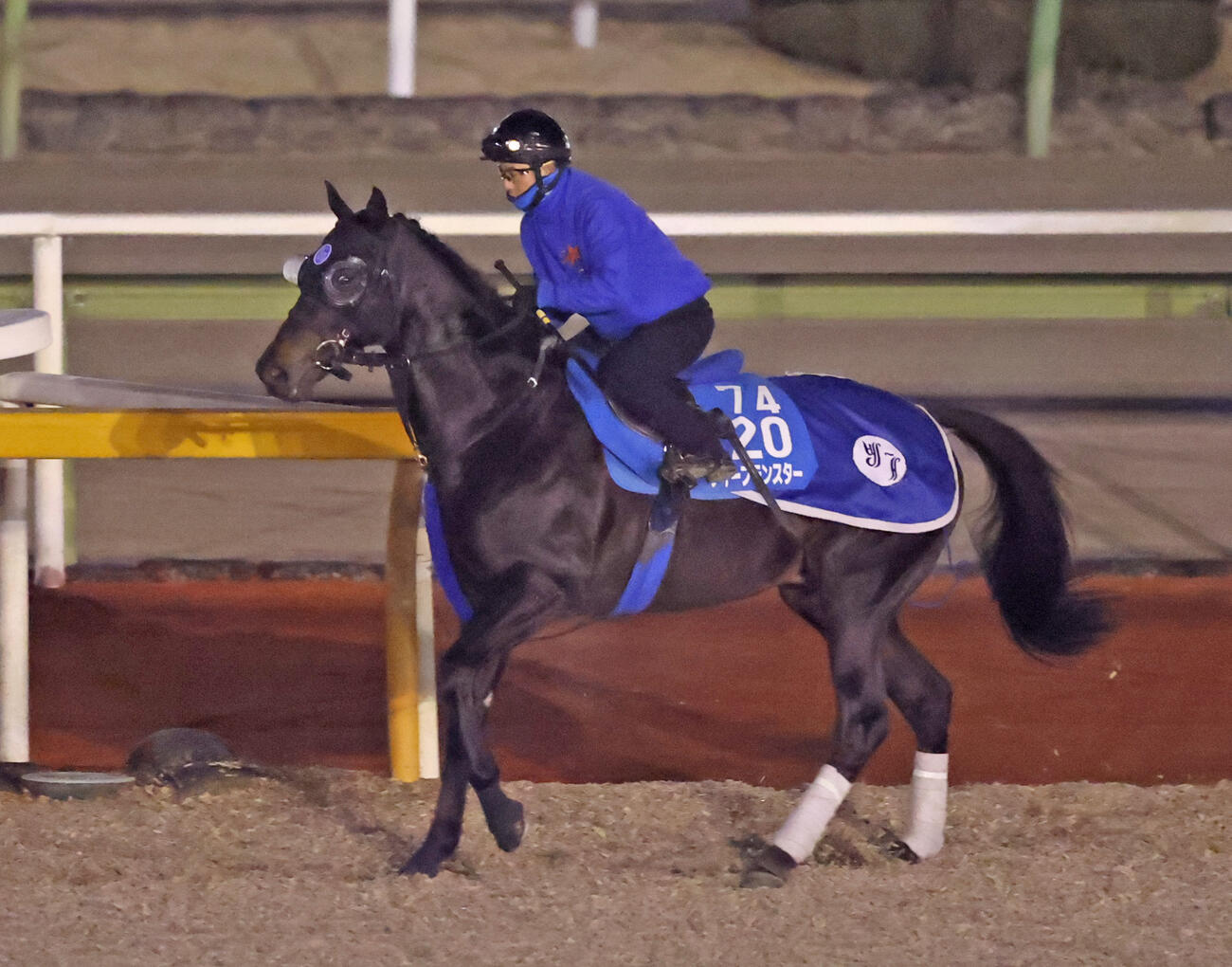 5日、馬場入りするディープモンスター