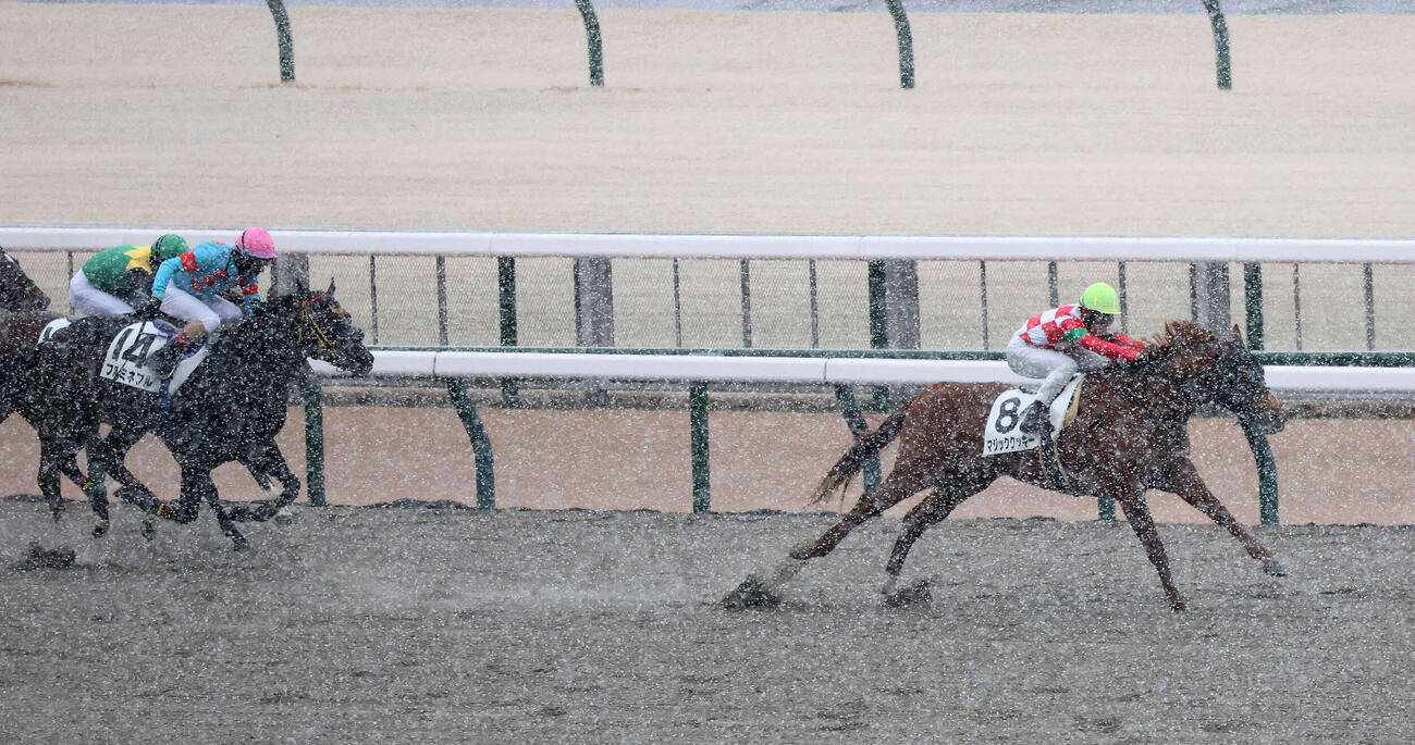 東京7R、3歳1勝クラスを制したマジッククッキーと上里騎手（撮影・丹羽敏通）