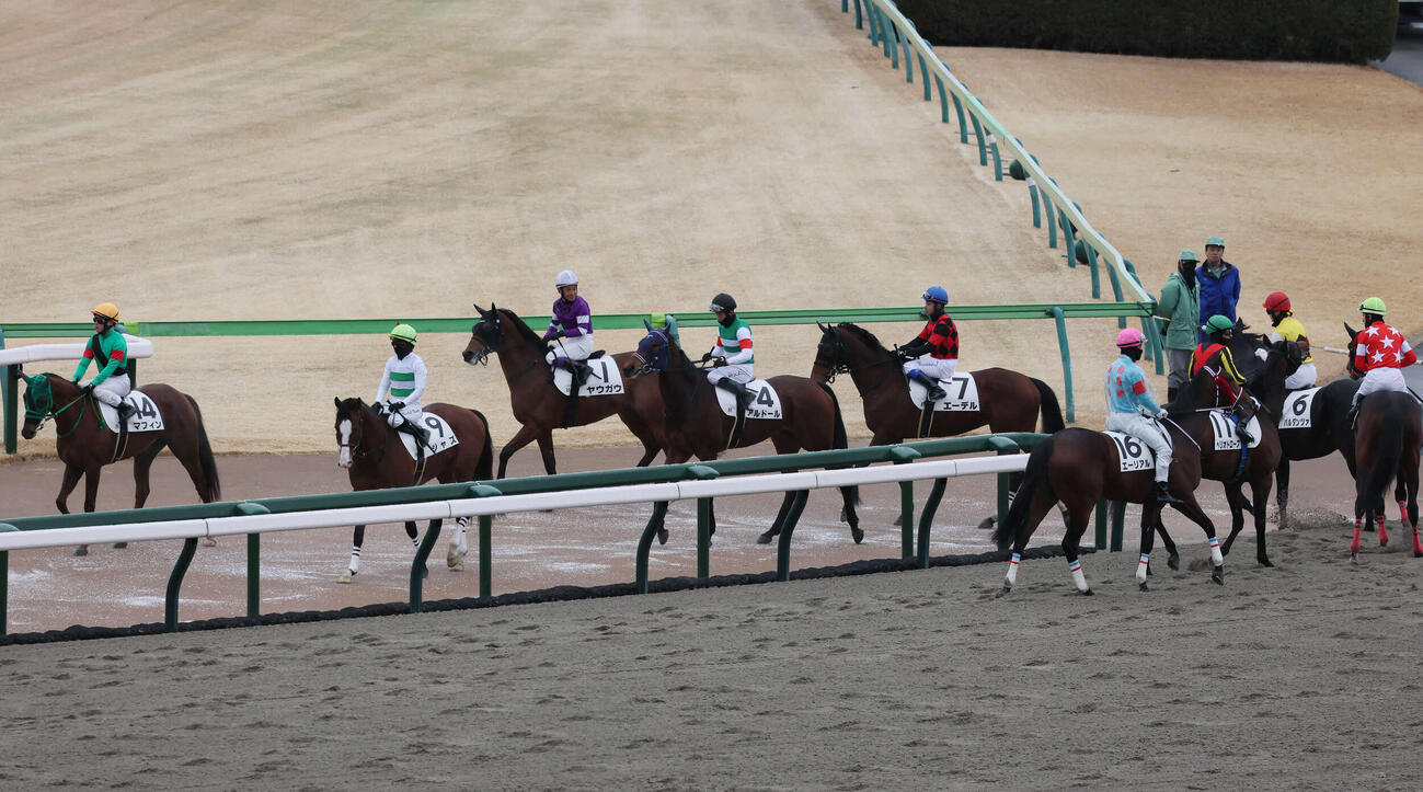 東京8R以降が取りやめとなって引き揚げる出走予定の各馬（撮影・丹羽敏通）