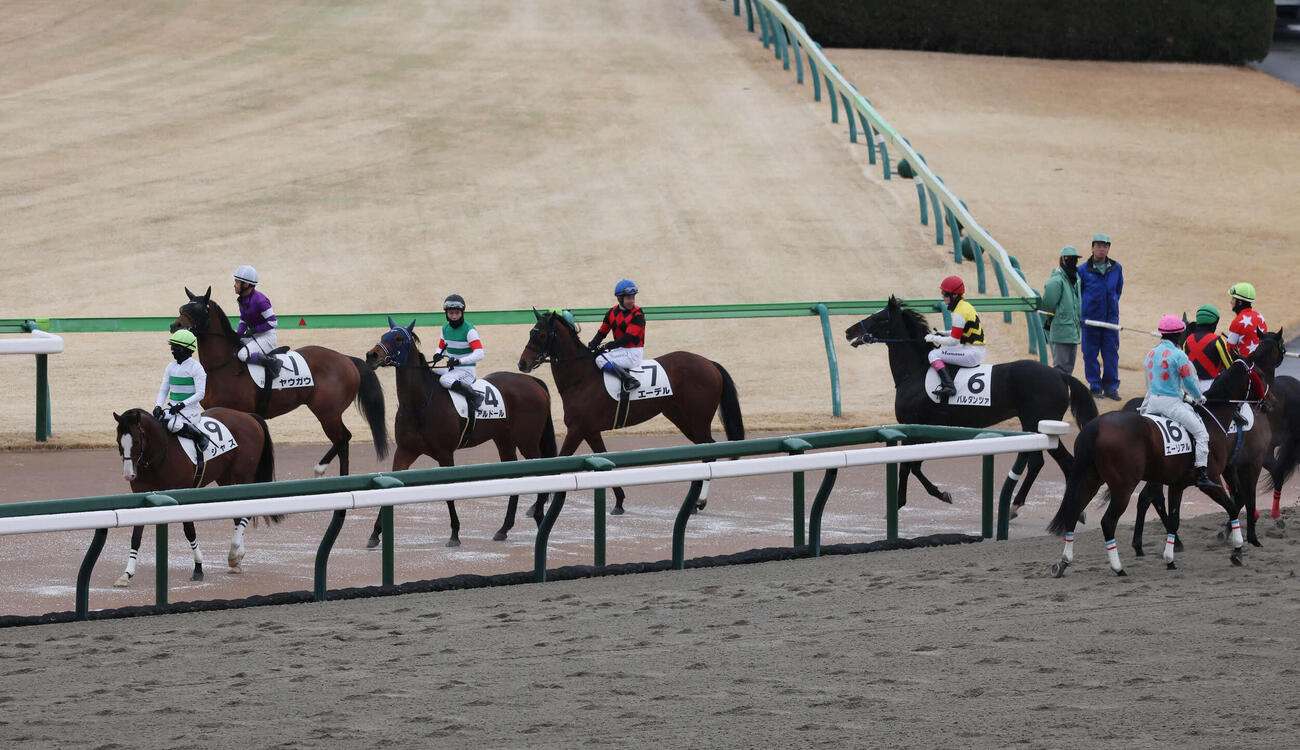 東京8R以降が取りやめとなって引き揚げる出走予定の各馬（撮影・丹羽敏通）