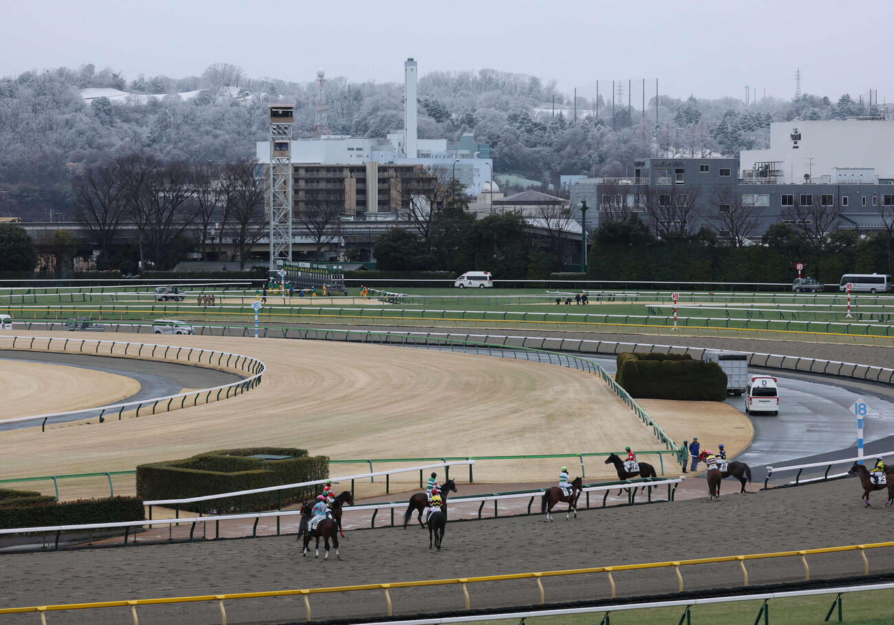 東京8R以降が取りやめとなって引き揚げる出走予定の各馬。後方は雪をかぶった稲城の山（撮影・丹羽敏通）